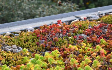 the cost of Lavister green roof installation