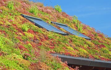 Lavister living roof systems
