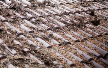 Lavister roof cleaning companies