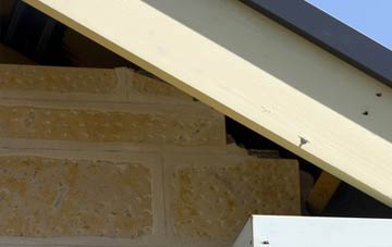 soffit repair Lavister